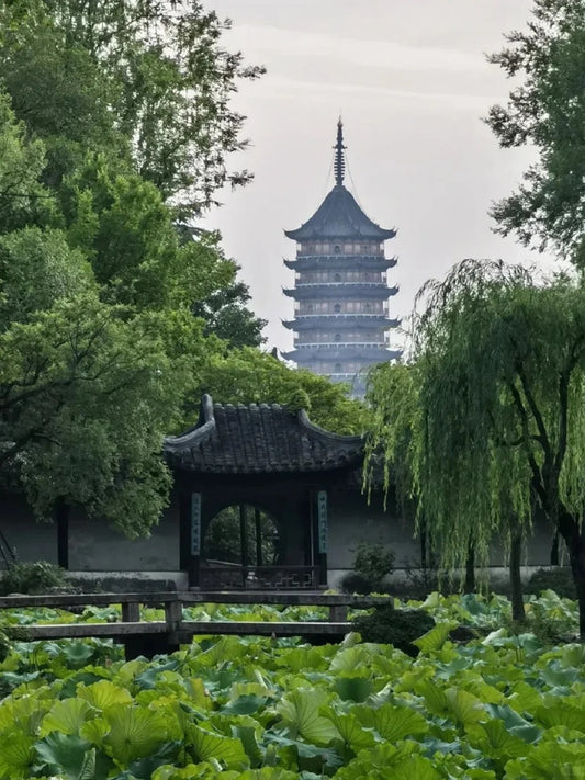 What to Pack for China: 12 Essential Travel Items You Might Forget